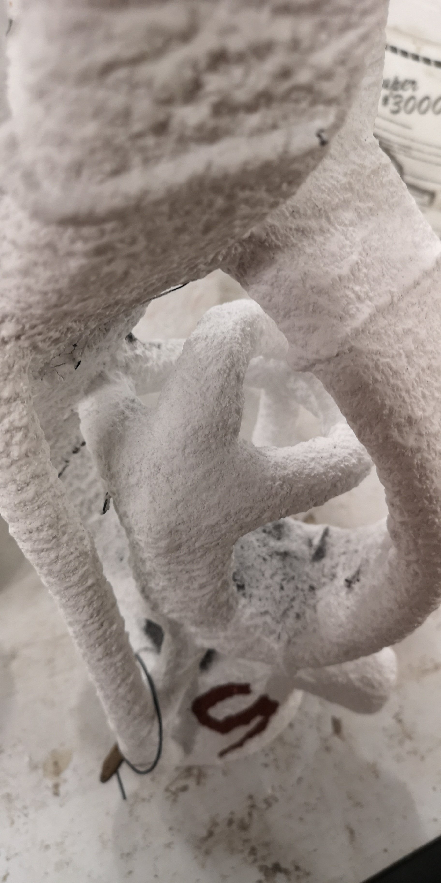 project01 image 6