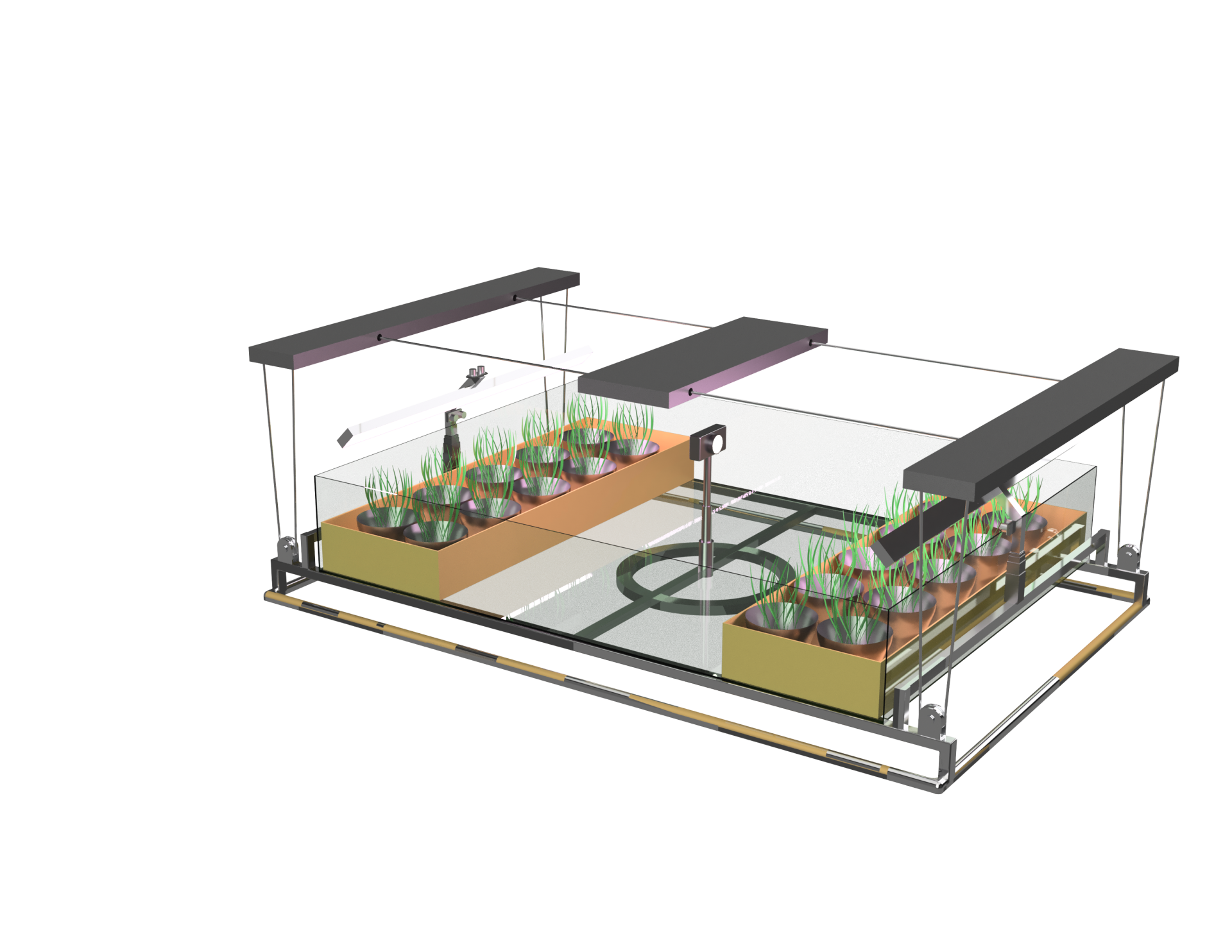 Rendering 04