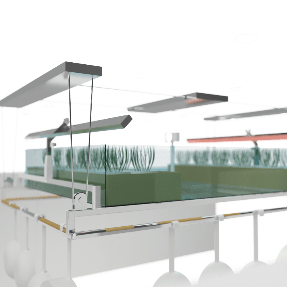 Rendering 09